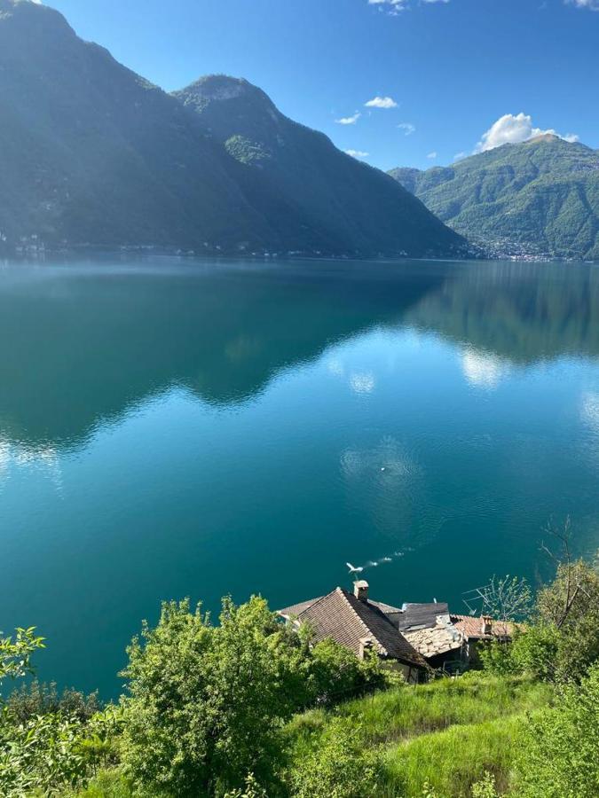 Gli Orti Della Civera " Cottagecore" Amazing View ネッソ エクステリア 写真