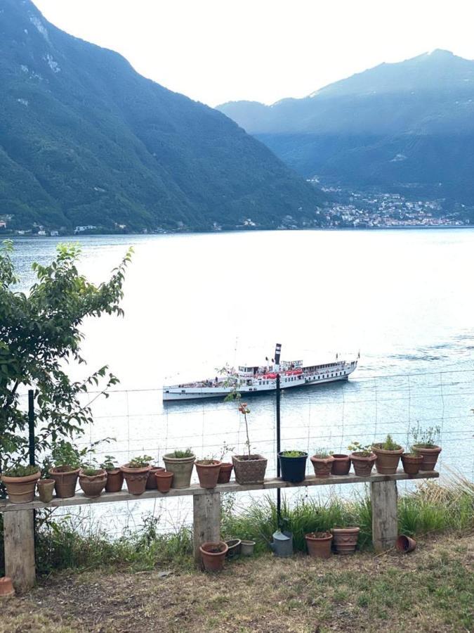 Gli Orti Della Civera " Cottagecore" Amazing View ネッソ エクステリア 写真